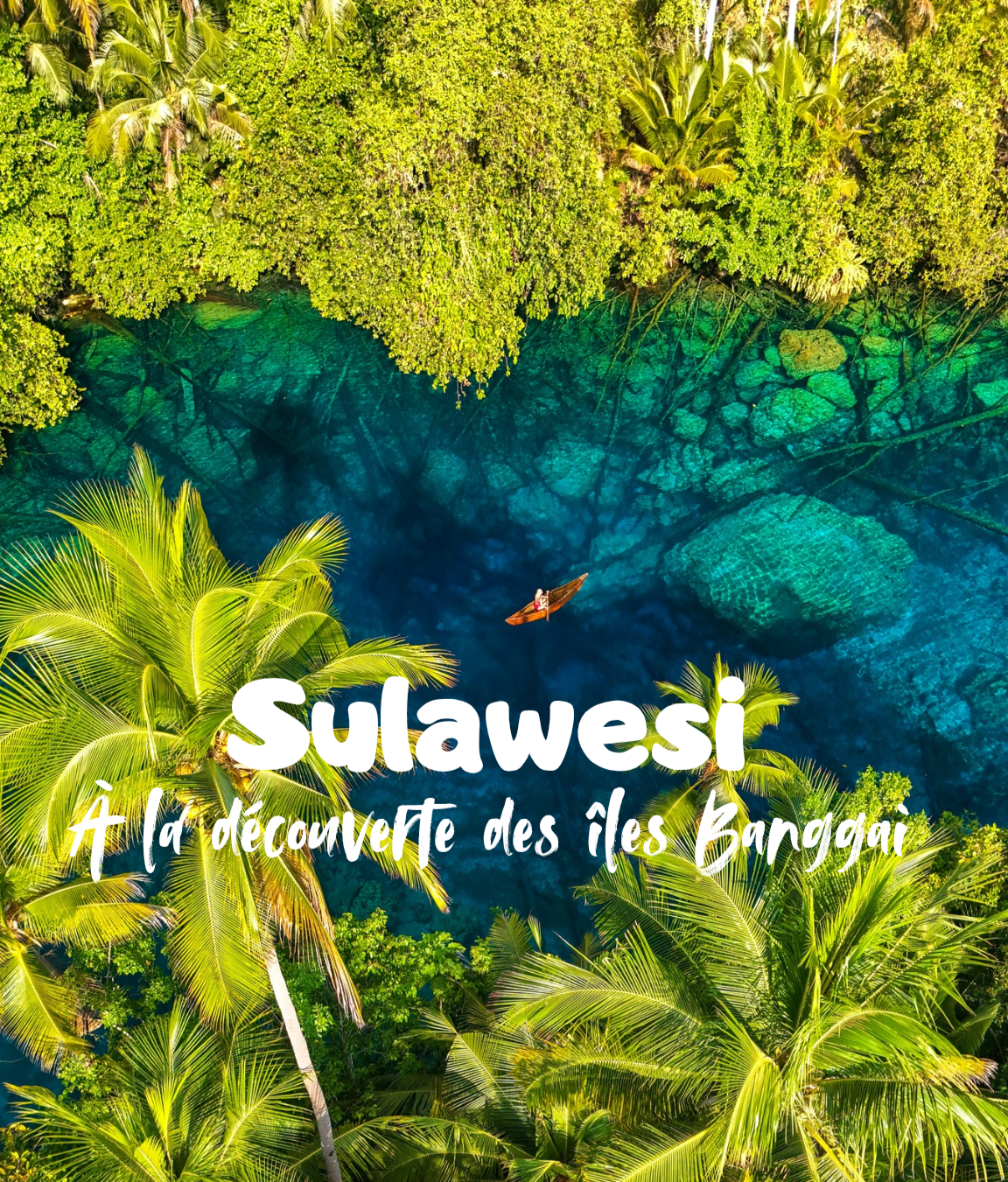 Sulawesi